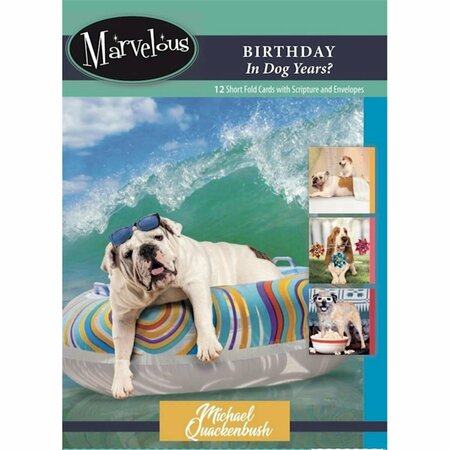 GIFTGEAR Card-Boxed-Birthday In Dog Years No.177 - 12PK GI3318245